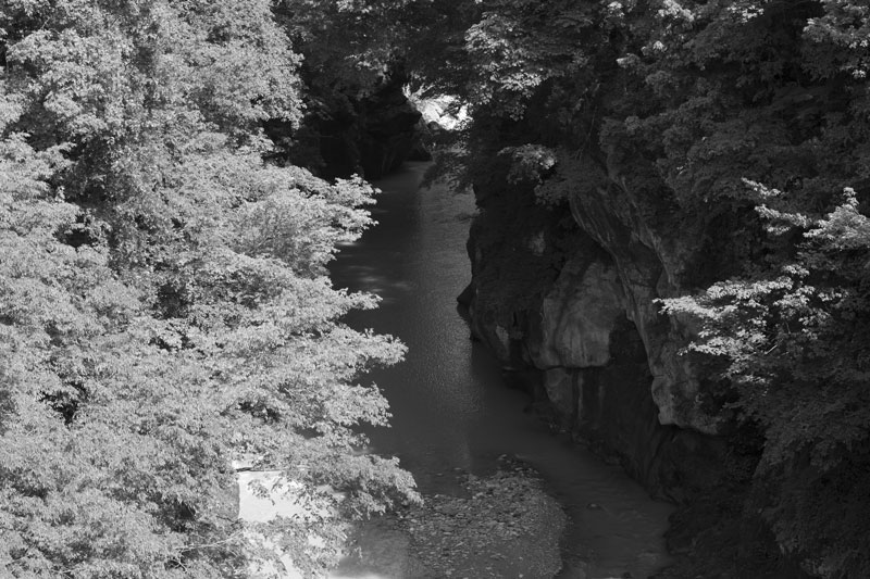 d0342652_16281681.jpg