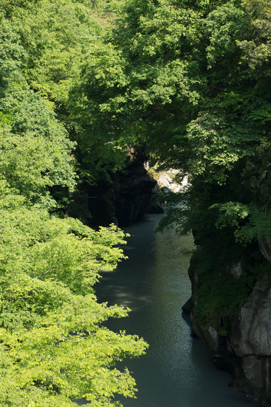 d0342652_16284068.jpg