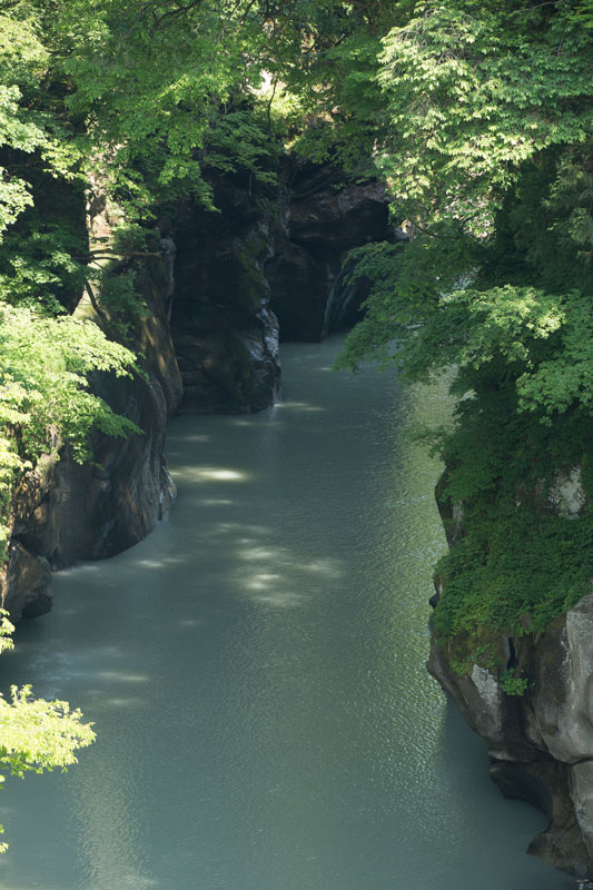 d0342652_16291054.jpg