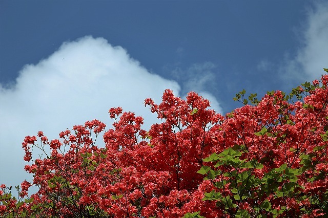 a0335853_09512945.jpg