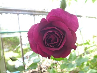 c0141555_22343061.jpg