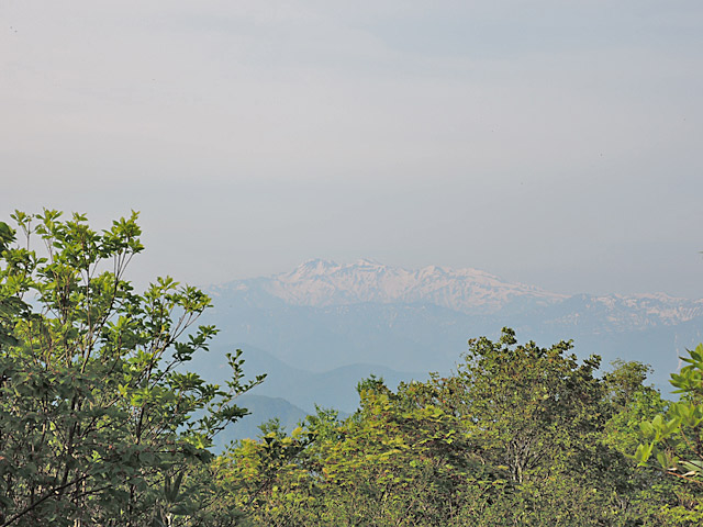 c0116856_1959262.jpg
