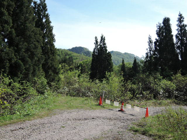 c0116856_1959343.jpg