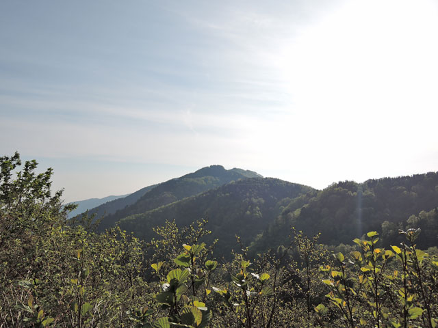 c0116856_1959378.jpg