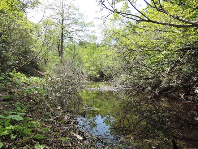 c0116856_2004744.jpg