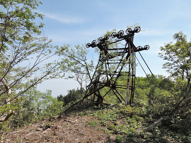 c0116856_20064.jpg