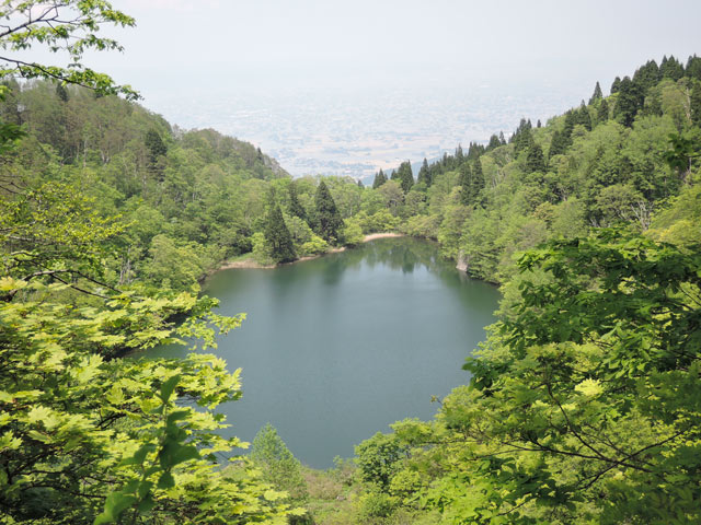 c0116856_2012511.jpg