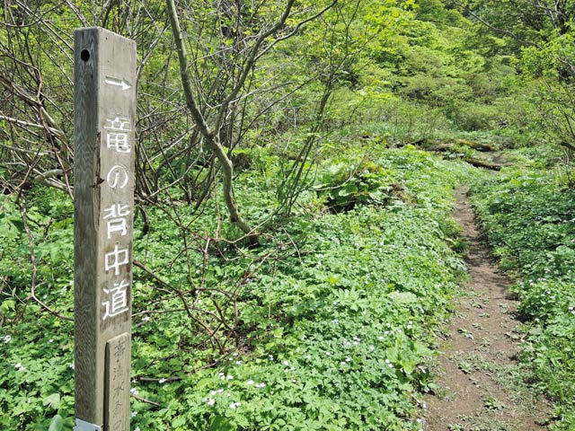 c0116856_2014298.jpg