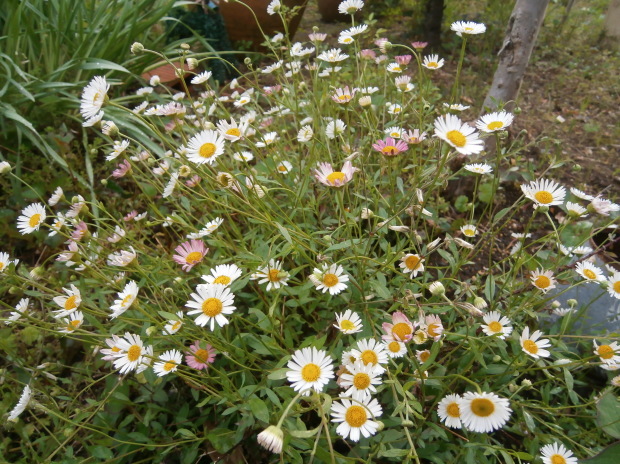 e0128656_22070909.jpg