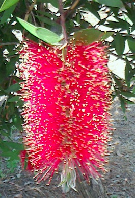 b0142158_1422918.jpg