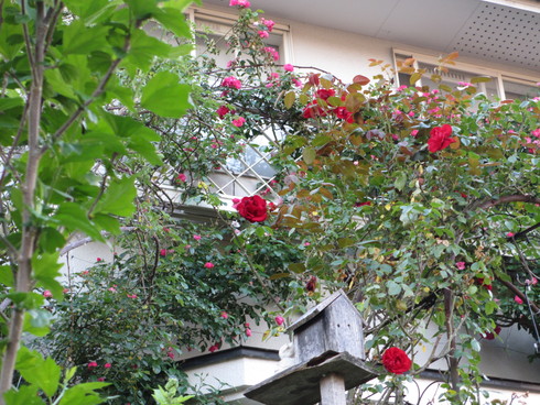 a0243064_21323152.jpg