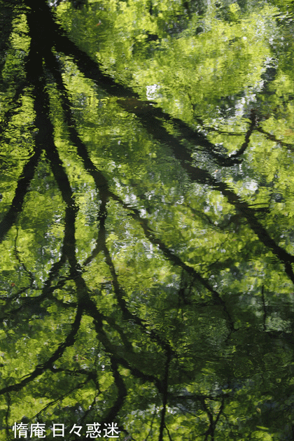 e0346064_15131721.gif