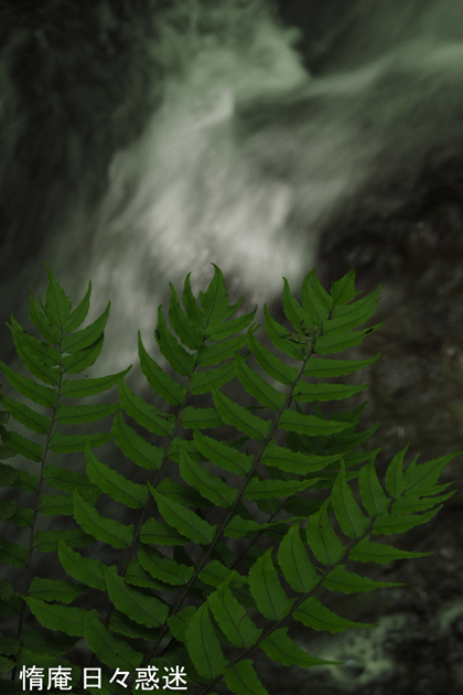 e0346064_15132727.gif