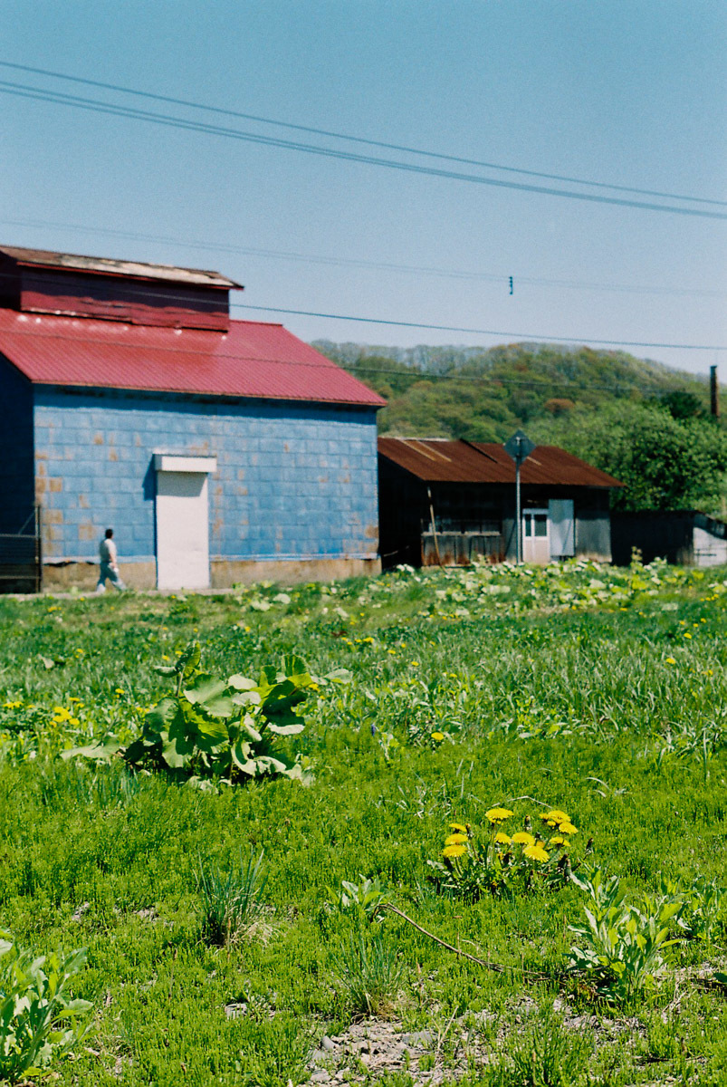 c0084666_19591226.jpg