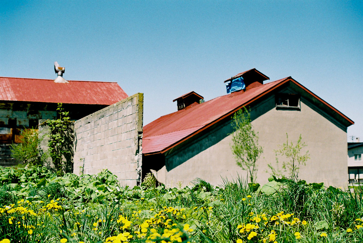 c0084666_19591337.jpg