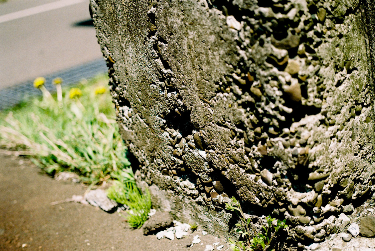 c0084666_20001199.jpg
