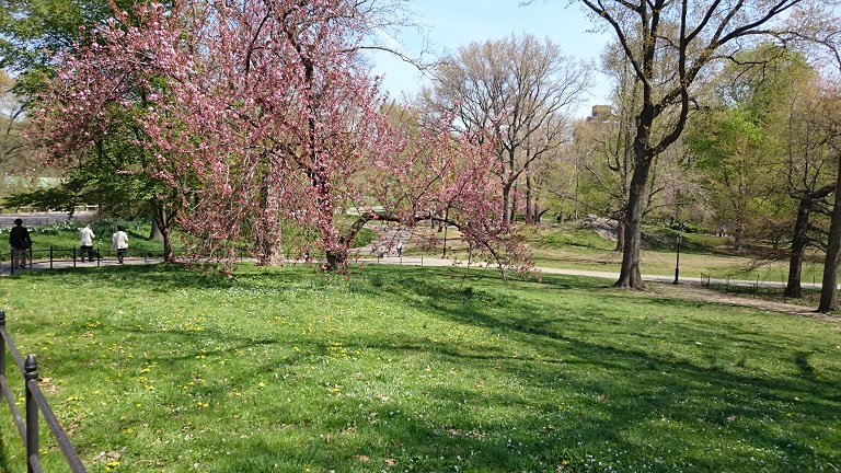 f0146466_2227748.jpg