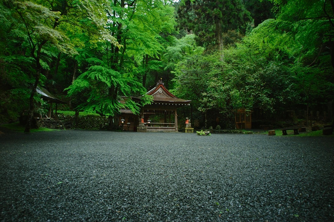 d0175768_23265523.jpg