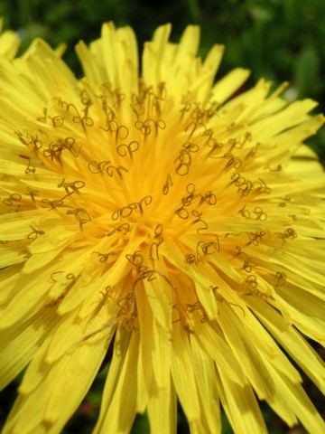 e0045768_2114749.jpg