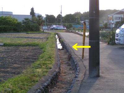 c0112172_2331325.jpg