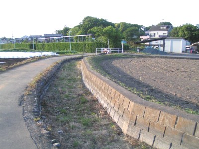 c0112172_2332560.jpg