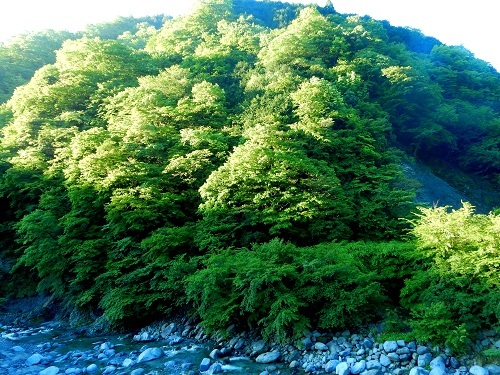 e0344574_20185709.jpg