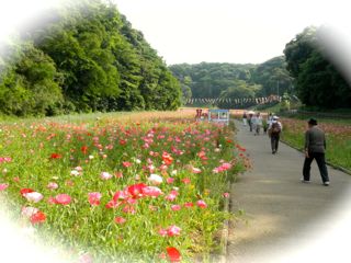 c0149195_20524739.jpg
