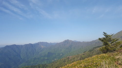a0143296_06583845.jpg
