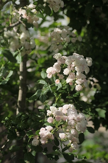 e0209997_9463389.jpg