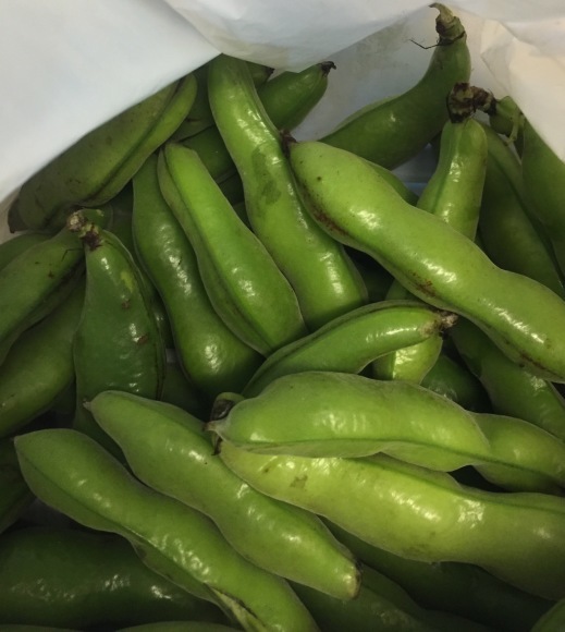 b0188998_23430122.jpeg