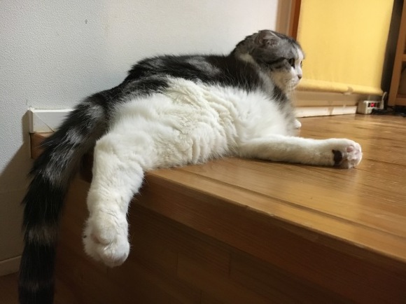 c0011300_22470142.jpeg