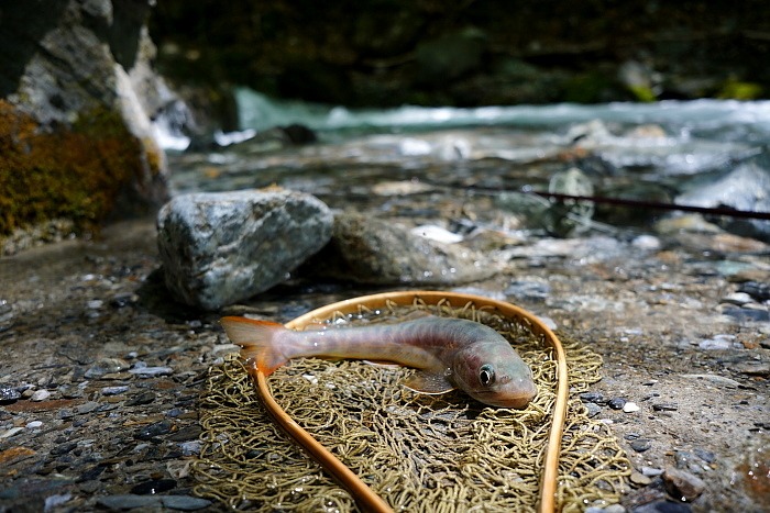 c0339900_6503227.jpg