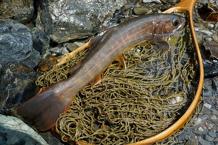 c0339900_654682.jpg