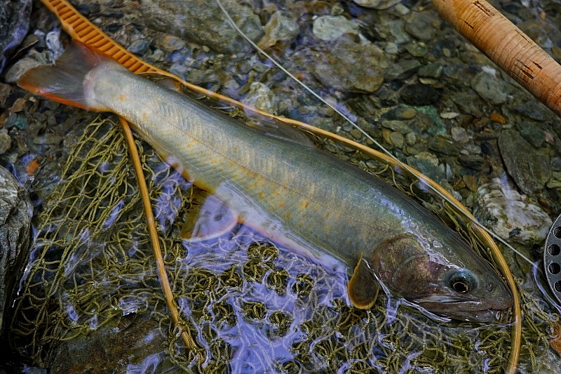 c0339900_6563139.jpg