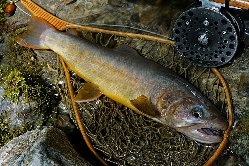 c0339900_761462.jpg