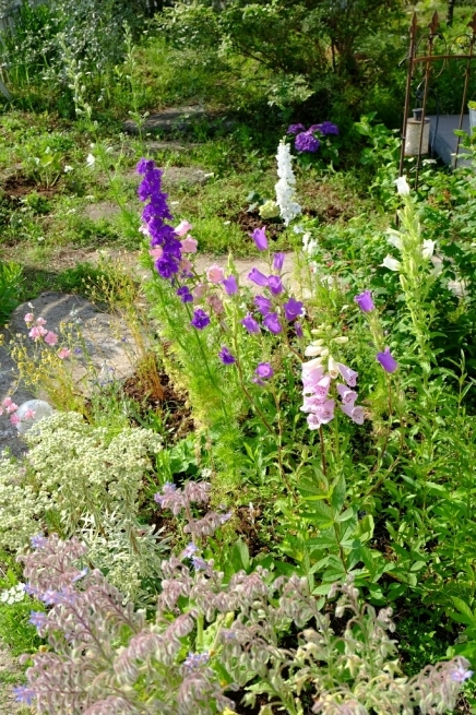 f0113108_05504913.jpg