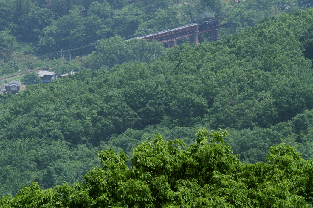 b0190710_21511237.jpg