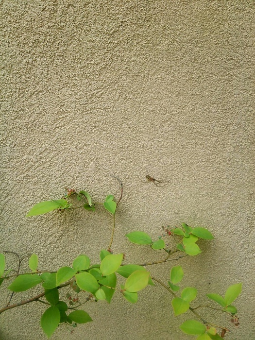 e0224610_08311711.jpg
