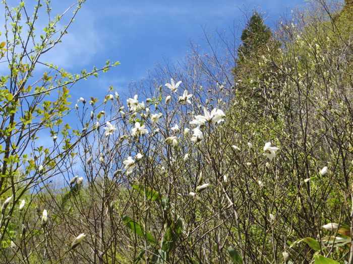 b0226219_20271364.jpg