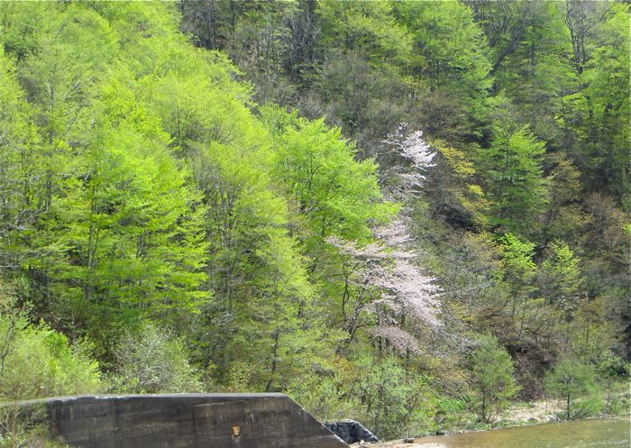 b0226219_20282231.jpg