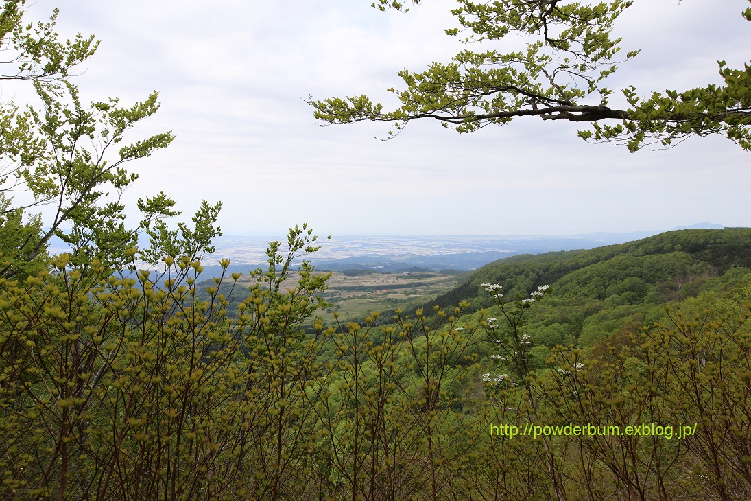 b0062024_6293559.jpg