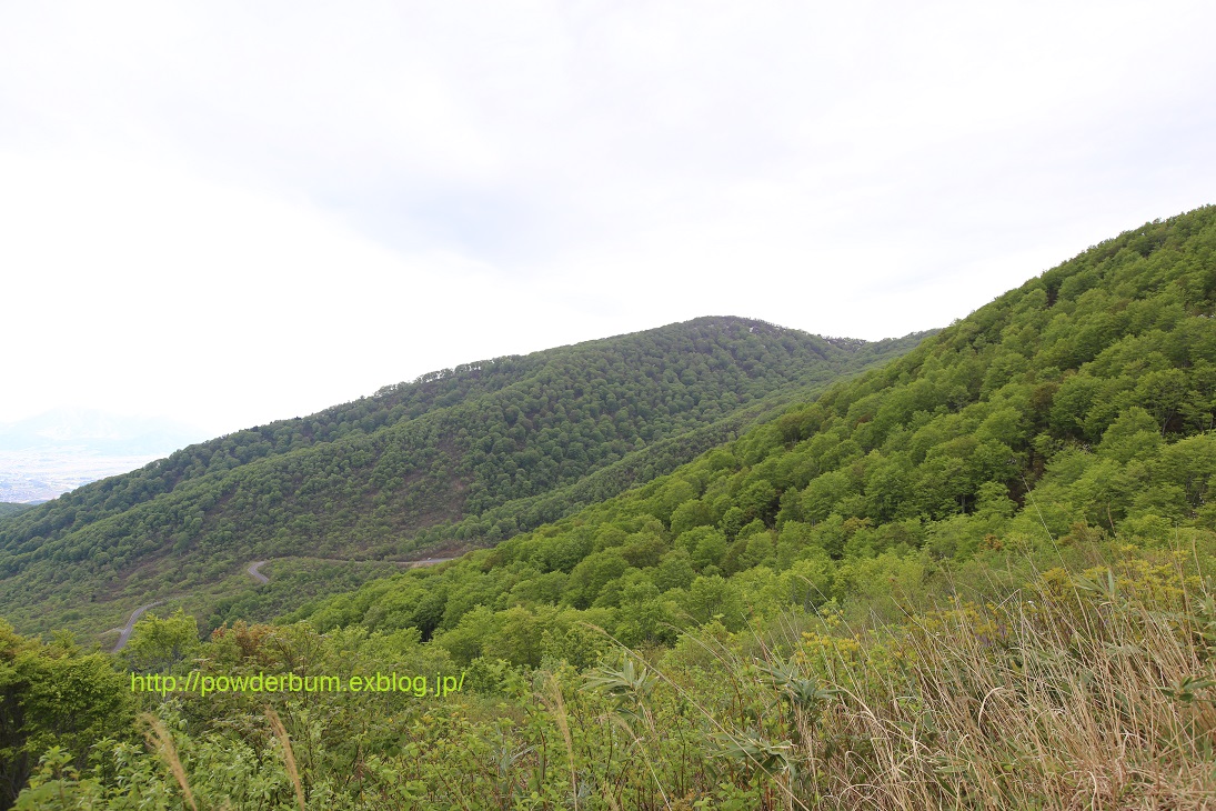 b0062024_6351765.jpg