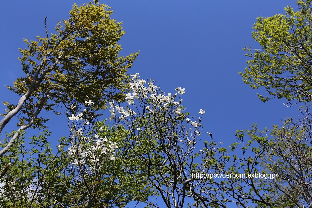b0062024_65188.jpg