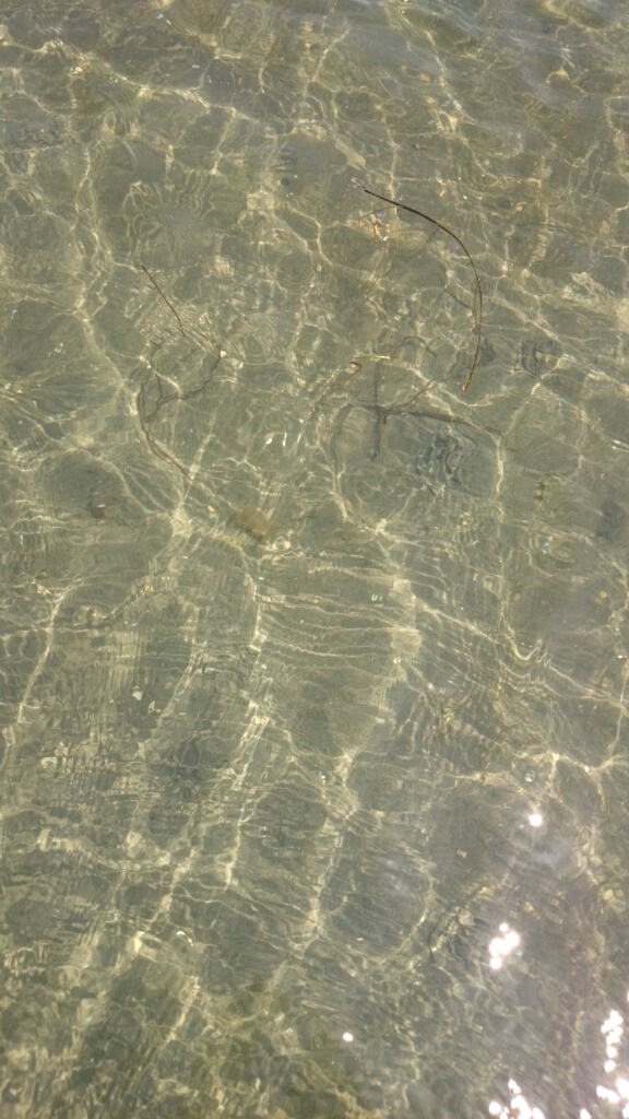 b0259124_07540533.jpg