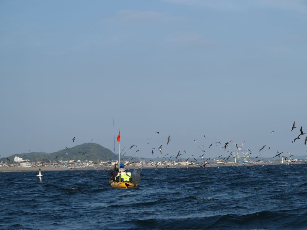 b0173629_232763.jpg
