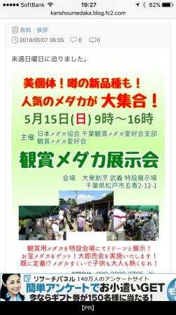 c0335833_16180766.png