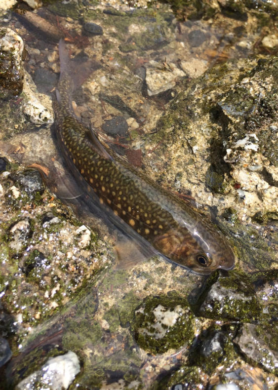 f0219441_05384331.jpg
