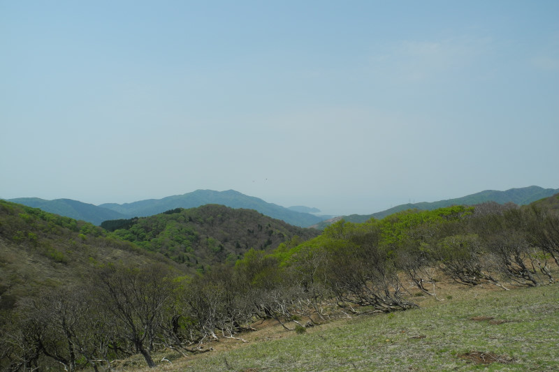 d0164443_1651185.jpg