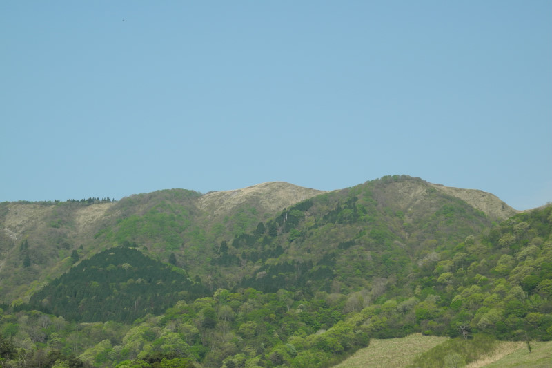 d0164443_2043275.jpg