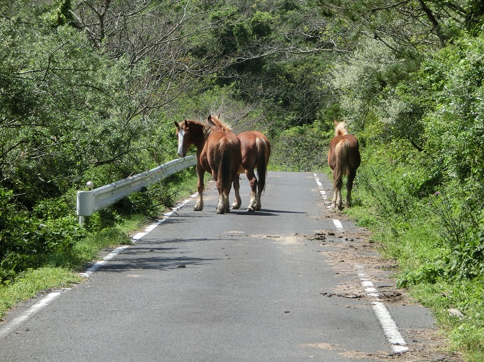 a0237349_13444064.jpg